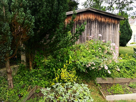 Bild 12