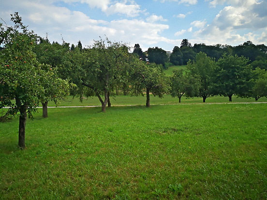 Bild 13
