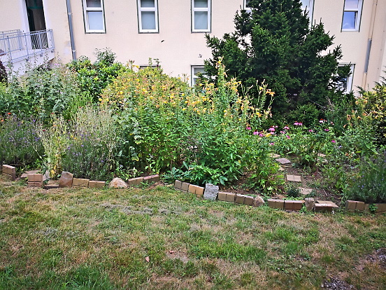 Bild 14